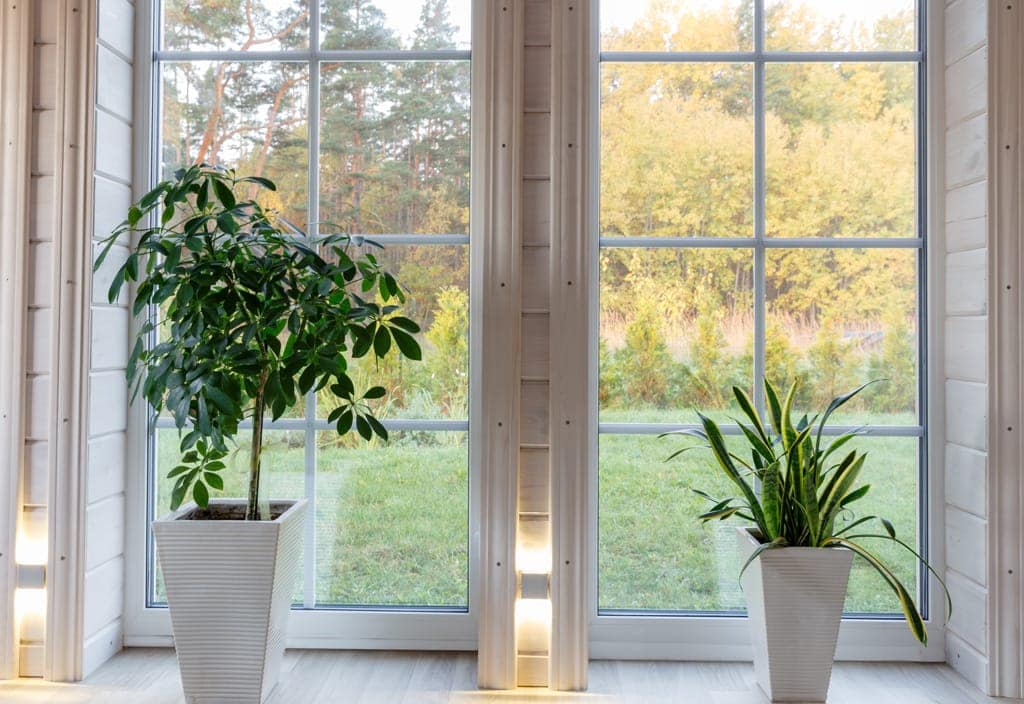 AdobeStock_276766667-1024 AdobeStock 276766667 1024 SÖBA Fenster und Türen aus Söllichau