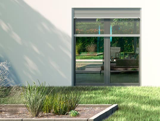 teaser_insektenschutz_pollen_538x407 SÖBA Fenster und Türen aus Söllichau